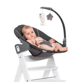 Hauck Alpha Bouncer Deluxe